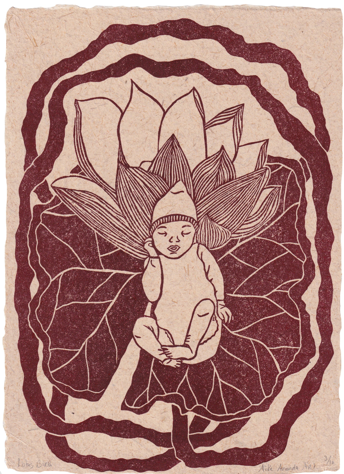 Lotus Birth- Rood