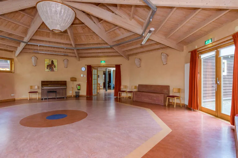 Linosnede workshop Zutphen Arnhem Gelderland Apeldoorn Deventer Utrecht Drenthe Zwolle Nijmegen Zeist Amsterdam Rotterdam Den Haag Groningen Breda Aike Ananda Art