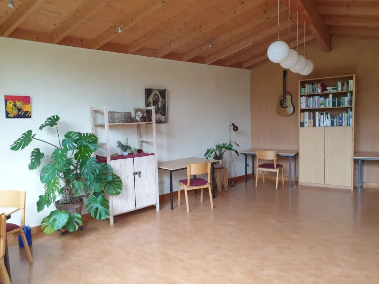 Linosnede workshop Zutphen Arnhem Gelderland Apeldoorn Deventer Utrecht Drenthe Zwolle Nijmegen Zeist Amsterdam Rotterdam Den Haag Groningen Breda Aike Ananda Art