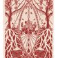 Vrouwen Vortex- Jaspis rood